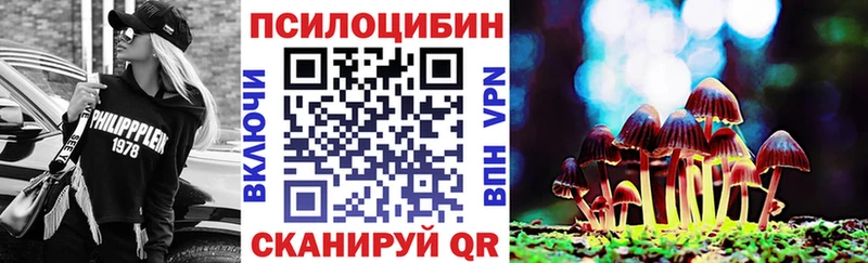 mega зеркало  Реж  Псилоцибиновые грибы прущие грибы  как найти  