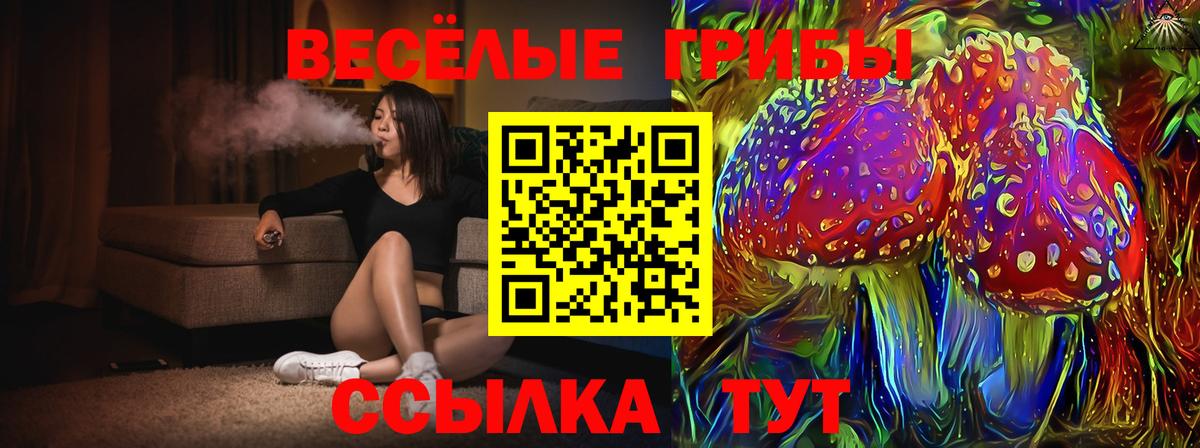 Псилоцибиновые грибы MAGIC MUSHROOMS Реж
